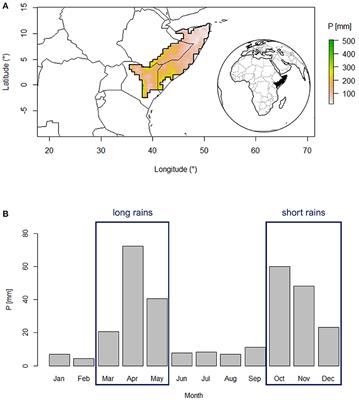 Seasonal prediction of Horn of Africa long rains using machine learning: The pitfalls of preselecting correlated predictors